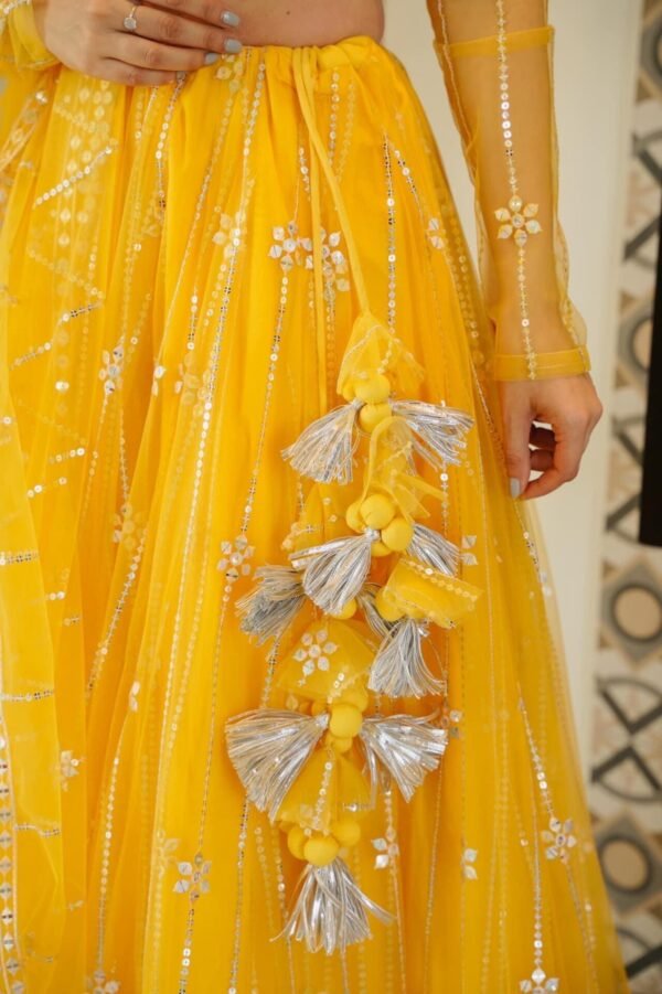 Aisha yellow net lehenga choli set - Image 3
