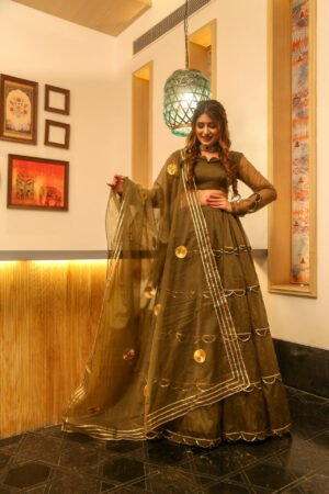 brown organza lehenga choli set
