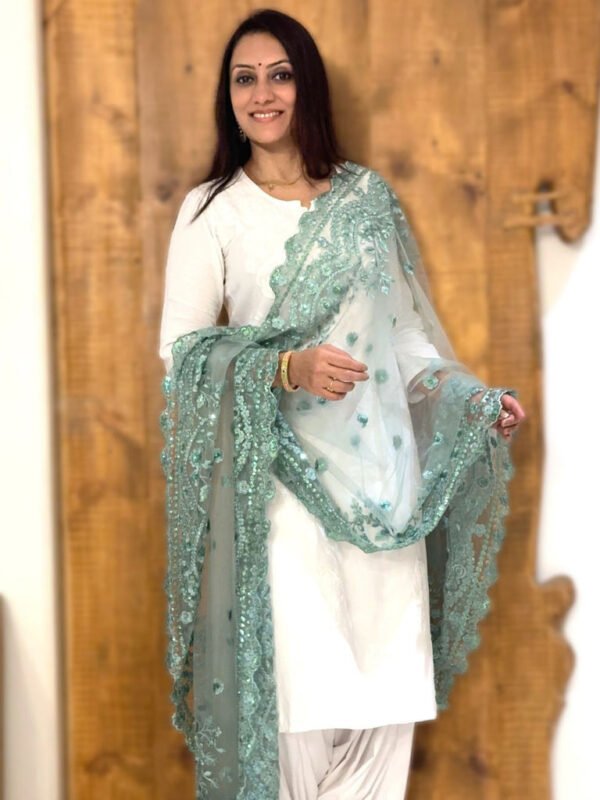 Embroidered Net Dupatta with Intricate Cutwork Border