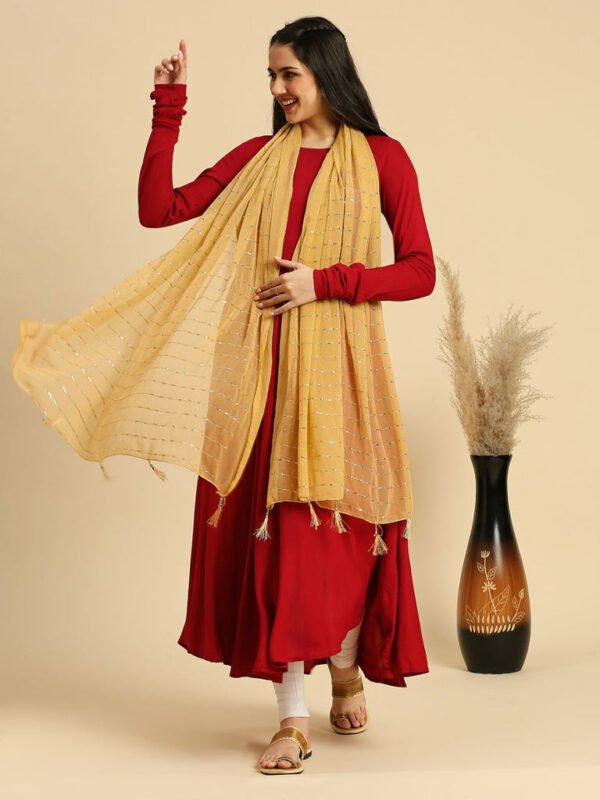 Sequined Chiffon Dupatta